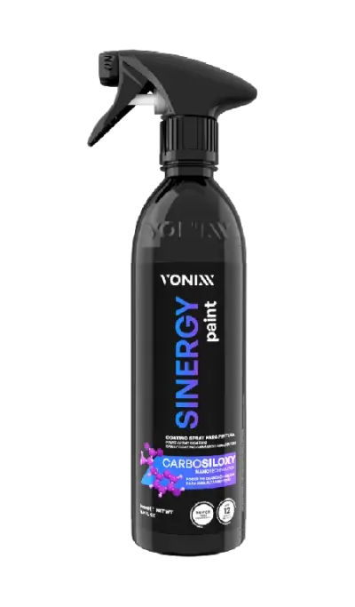 SINERGY PAINT